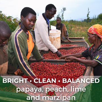 Burundi Ubuto-Karuzi Washed